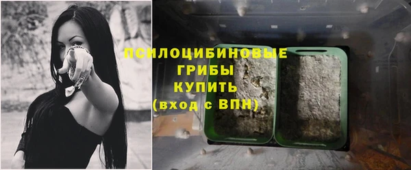 ГАЛЛЮЦИНОГЕННЫЕ ГРИБЫ Приозерск