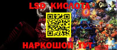 прущие грибы Свободный