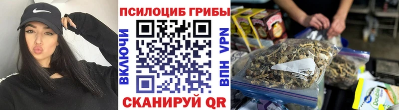 цены наркотик  ОМГ ОМГ как зайти  Псилоцибиновые грибы GOLDEN TEACHER  Советск 