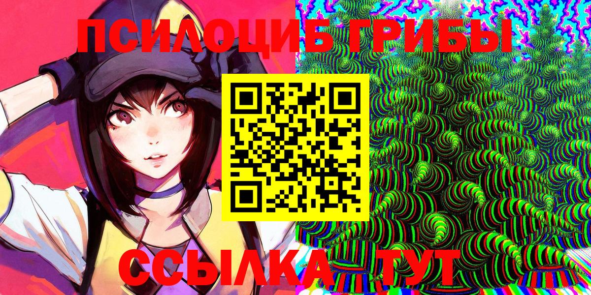Псилоцибиновые грибы Cubensis  Вход с VPN  Галлюциногенные грибы мицелий  Советск 