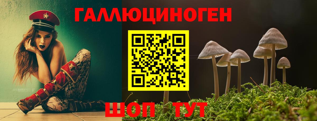 Псилоцибиновые грибы мухоморы Советск